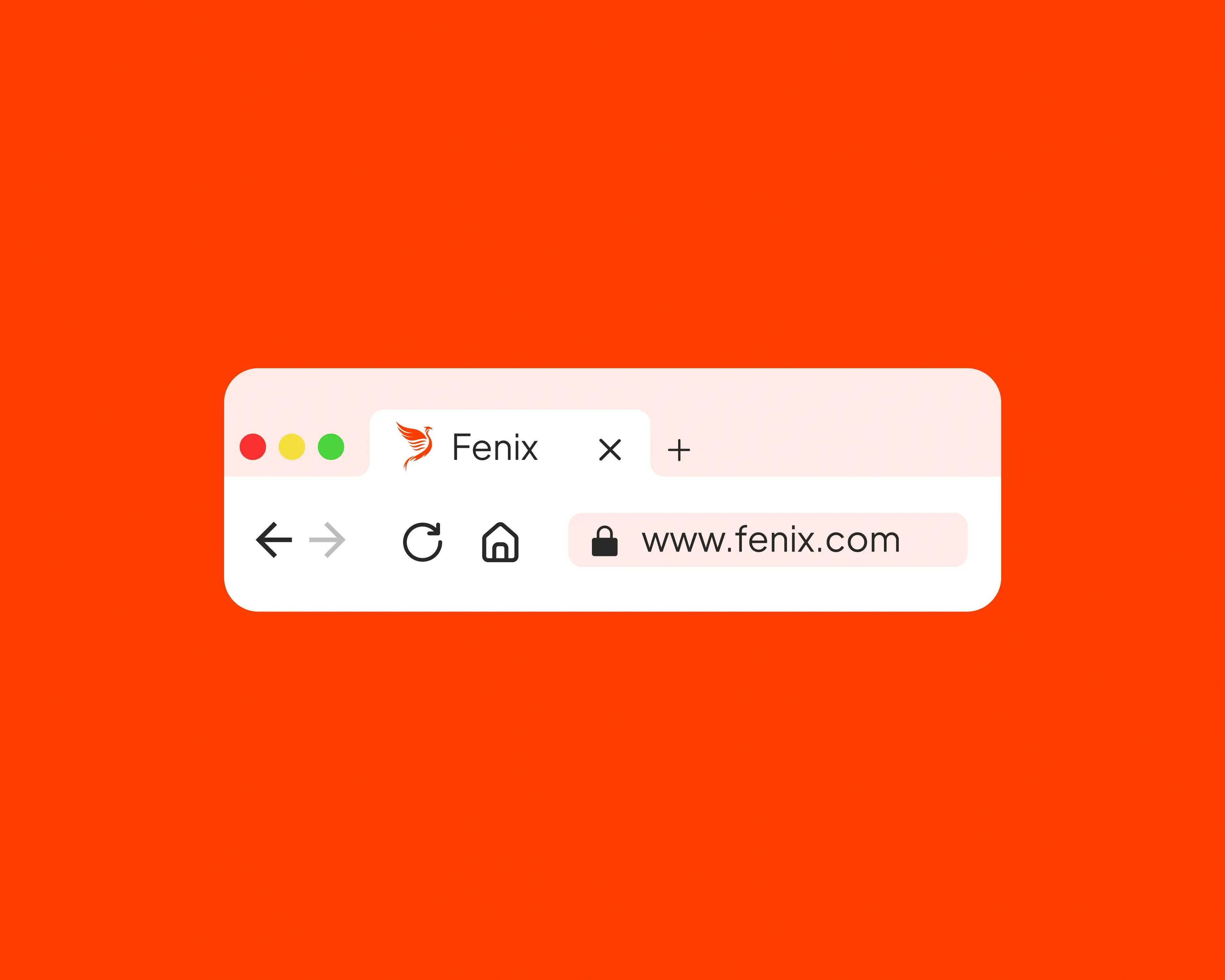 Fenix Project Image 12